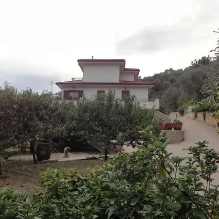 Bed & Breakfast Agai