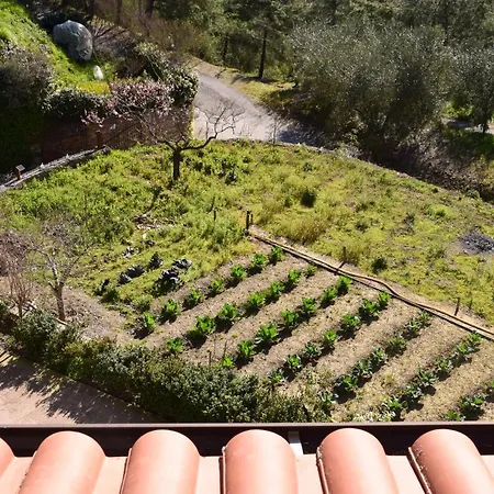 Bed & Breakfast Agai Apricale