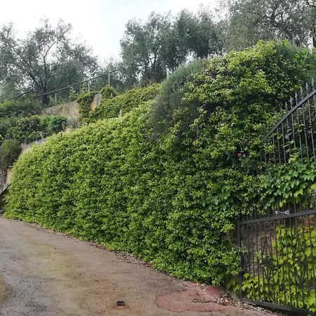 Agai Bed & Breakfast Apricale