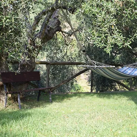 Agai Apricale