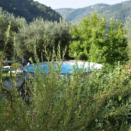 Bed & Breakfast Agai