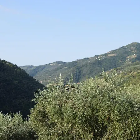 Agai Apricale